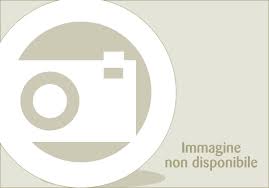 RESINA VINILESTERE - KG.1 